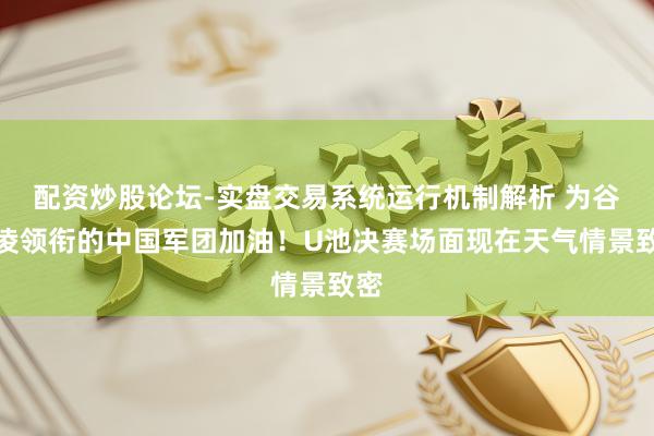配资炒股论坛-实盘交易系统运行机制解析 为谷爱凌领衔的中国军团加油！U池决赛场面现在天气情景致密