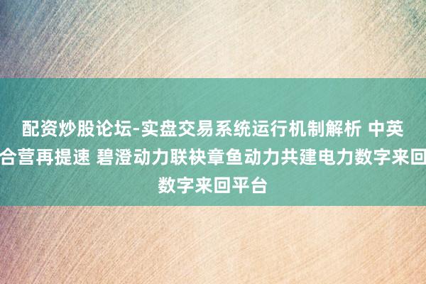 配资炒股论坛-实盘交易系统运行机制解析 中英动力合营再提速 碧澄动力联袂章鱼动力共建电力数字来回平台