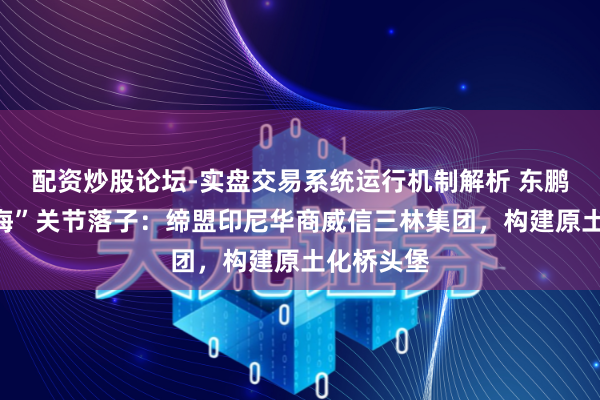 配资炒股论坛-实盘交易系统运行机制解析 东鹏饮料“出海”关节落子：缔盟印尼华商威信三林集团，构建原土化桥头堡