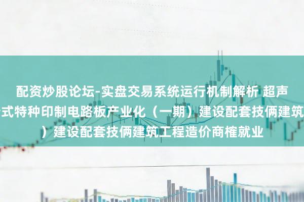 配资炒股论坛-实盘交易系统运行机制解析 超声电子招标服从：新式特种印制电路板产业化（一期）建设配套技俩建筑工程造价商榷就业