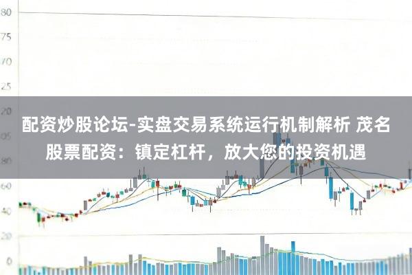 配资炒股论坛-实盘交易系统运行机制解析 茂名股票配资：镇定杠杆，放大您的投资机遇