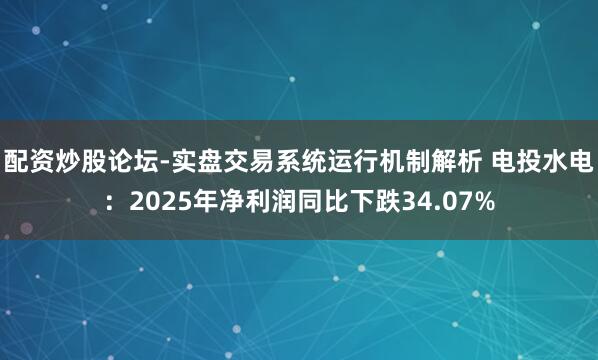 配资炒股论坛-实盘交易系统运行机制解析 电投水电：2025年净利润同比下跌34.07%